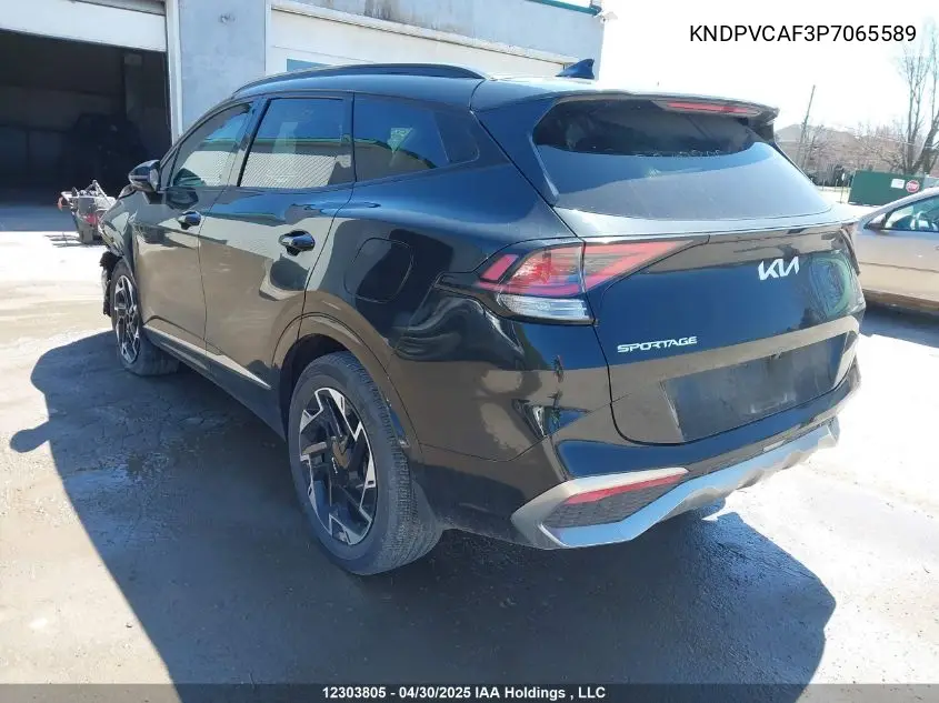 2023 Kia Sportage Ex/Ex Premium W/Black Interior/Ex Premium W/Red Interior VIN: KNDPVCAF3P7065589 Lot: 12303805