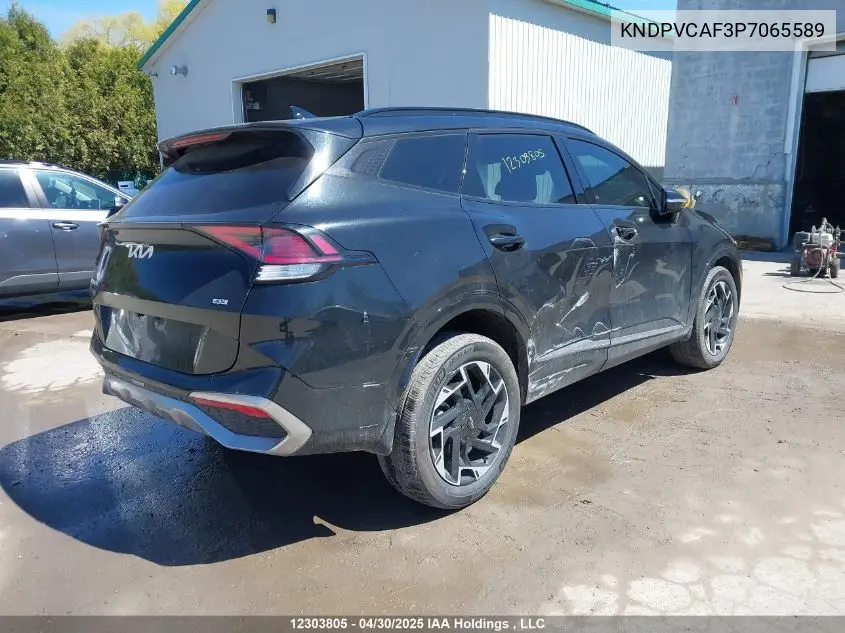 2023 Kia Sportage Ex/Ex Premium W/Black Interior/Ex Premium W/Red Interior VIN: KNDPVCAF3P7065589 Lot: 12303805