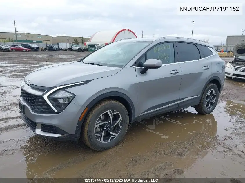 2023 Kia Sportage Lx VIN: KNDPUCAF9P7191152 Lot: 12313744