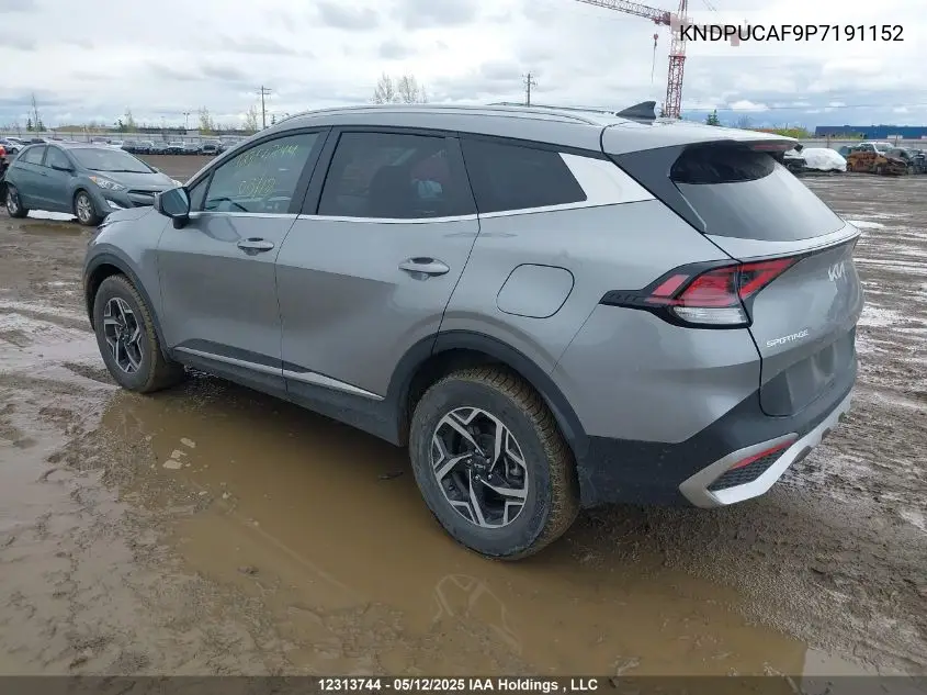 2023 Kia Sportage Lx VIN: KNDPUCAF9P7191152 Lot: 12313744