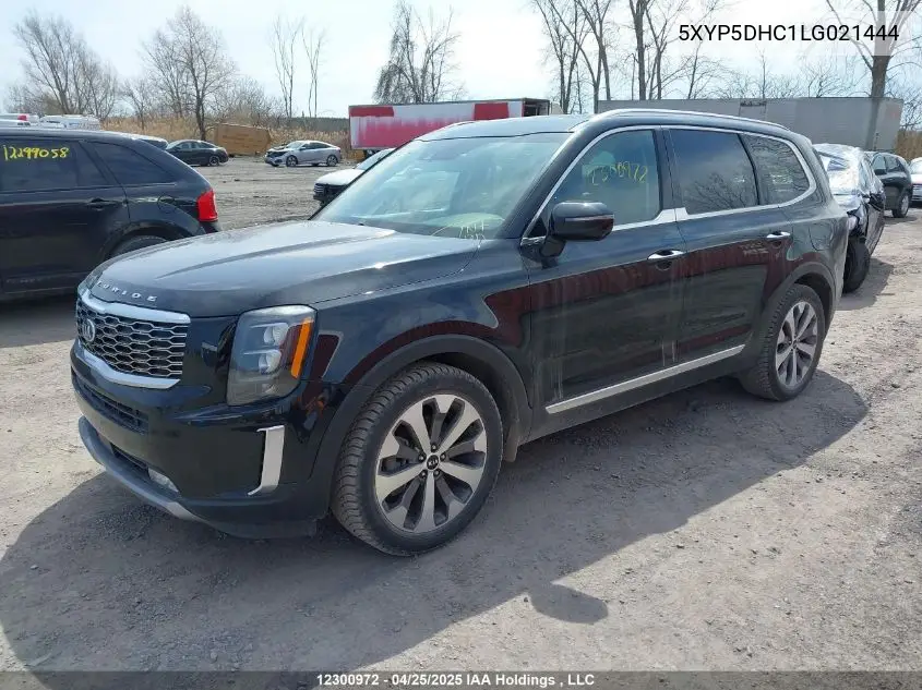 2020 Kia Telluride Sx/Sx Limited/Sx Limited W/Nappa VIN: 5XYP5DHC1LG021444 Lot: 12300972