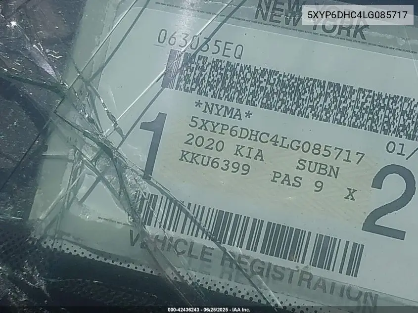 2020 Kia Telluride S VIN: 5XYP6DHC4LG085717 Lot: 42436243