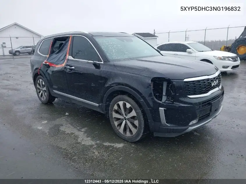 2022 Kia Telluride VIN: 5XYP5DHC3NG196832 Lot: 12312443