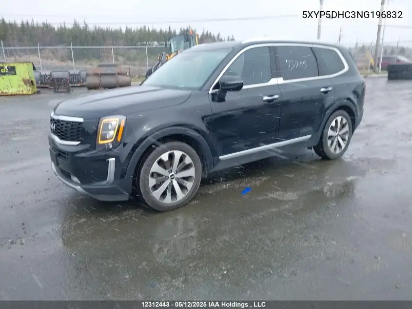 2022 Kia Telluride VIN: 5XYP5DHC3NG196832 Lot: 12312443