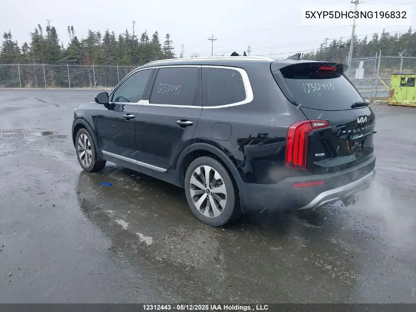 2022 Kia Telluride VIN: 5XYP5DHC3NG196832 Lot: 12312443