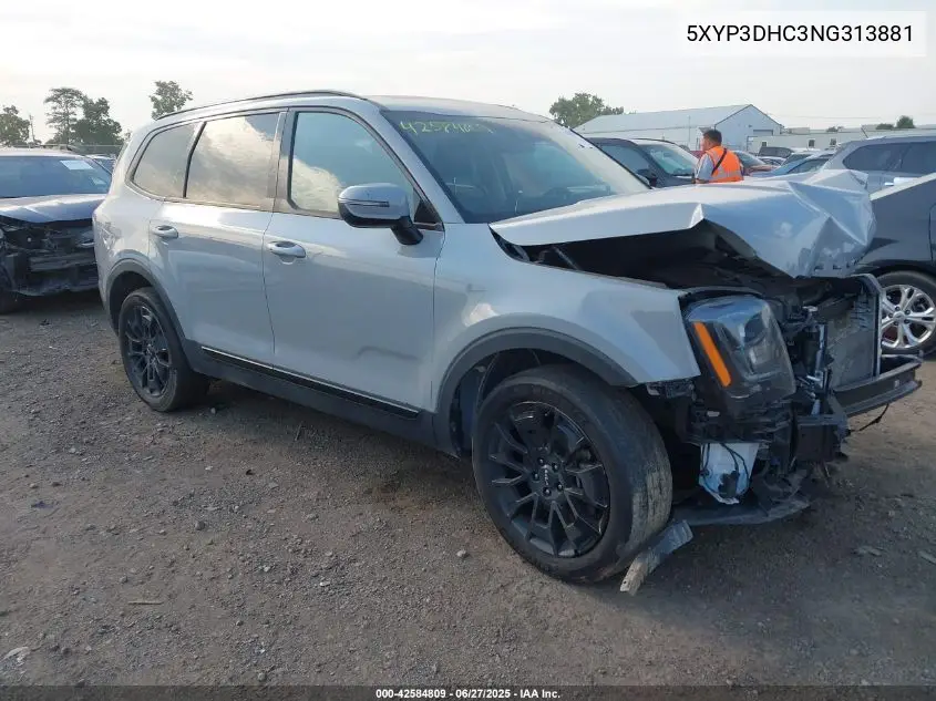 2022 Kia Telluride Ex VIN: 5XYP3DHC3NG313881 Lot: 42584809