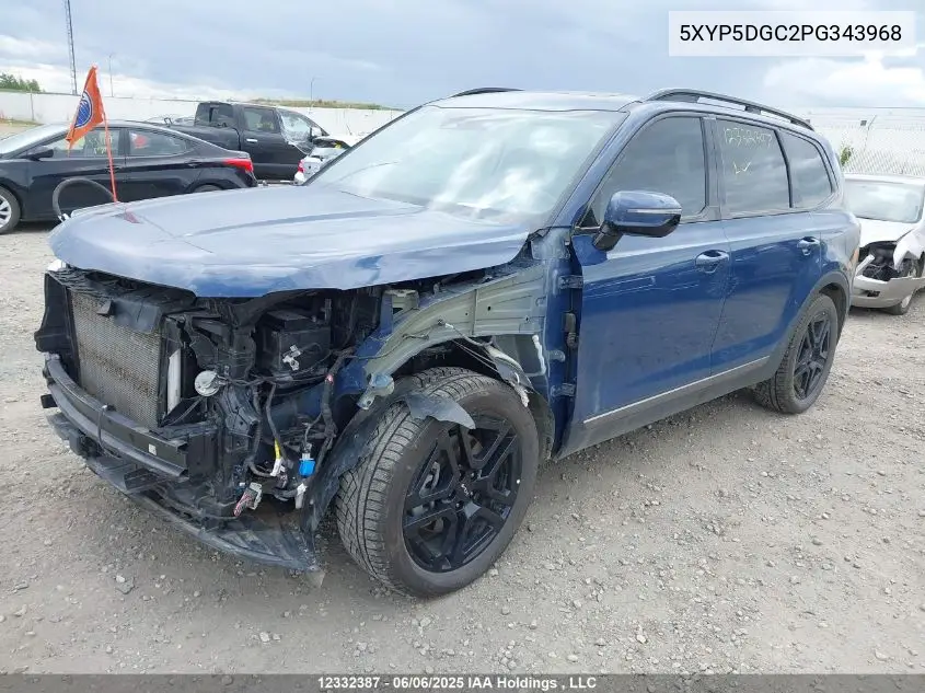 2023 Kia Telluride Sx/Sx X-Line/Sx X-Pro/Sx Prestige/Sx Prest X-Ln/Sx Prest X-Pro VIN: 5XYP5DGC2PG343968 Lot: 12332387