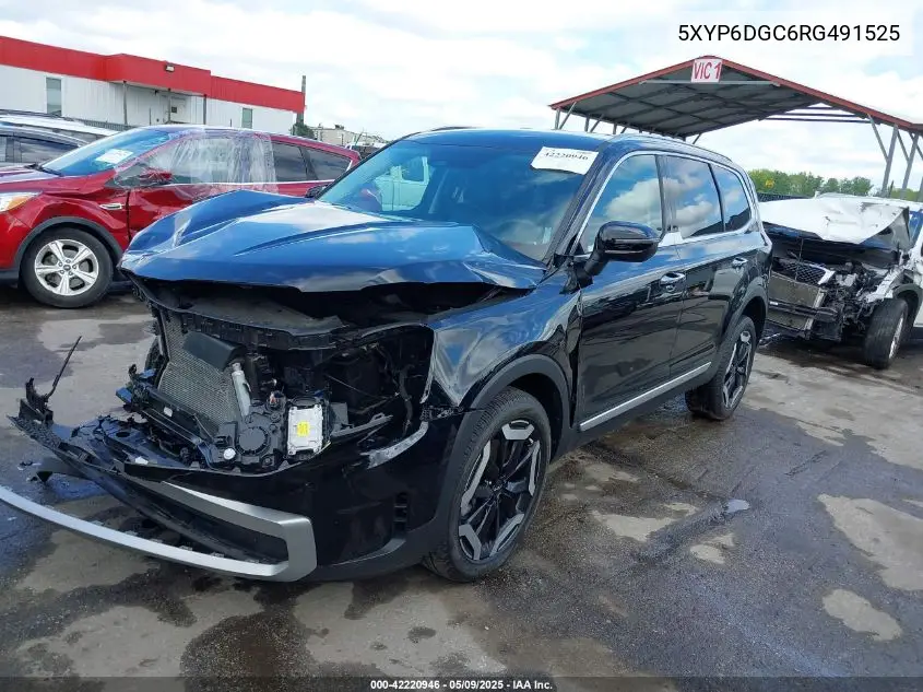 2024 Kia Telluride S VIN: 5XYP6DGC6RG491525 Lot: 42220946