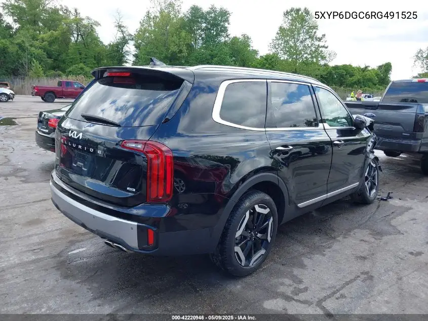 2024 Kia Telluride S VIN: 5XYP6DGC6RG491525 Lot: 42220946
