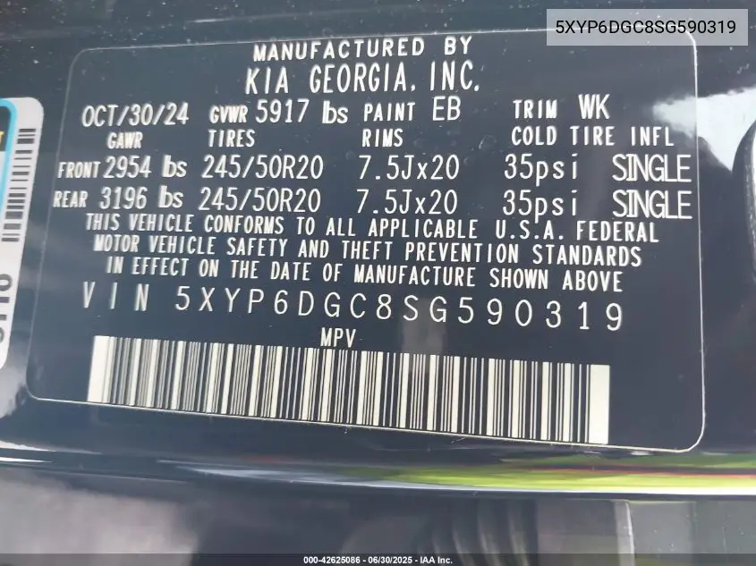 2025 Kia Telluride S VIN: 5XYP6DGC8SG590319 Lot: 42625086