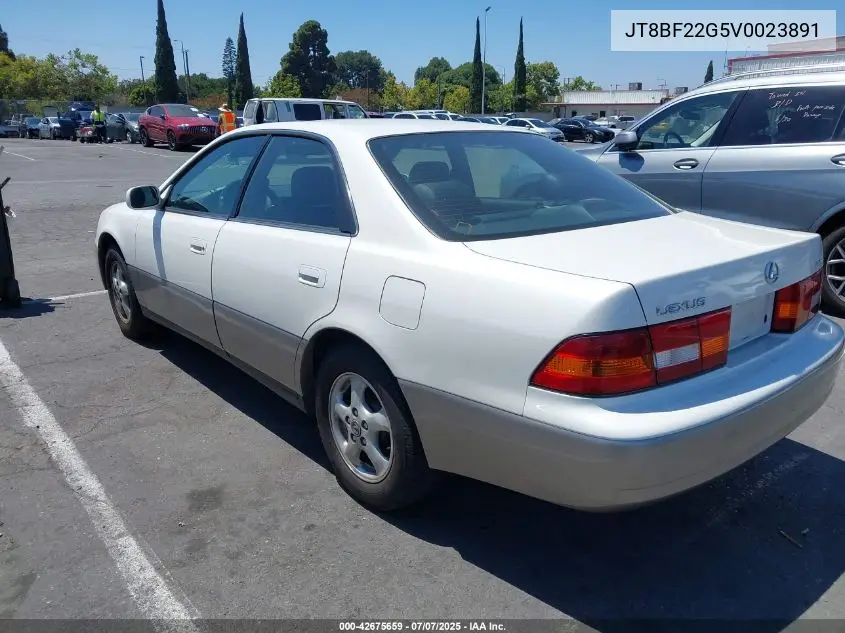 1997 Lexus Es 300 VIN: JT8BF22G5V0023891 Lot: 42675659