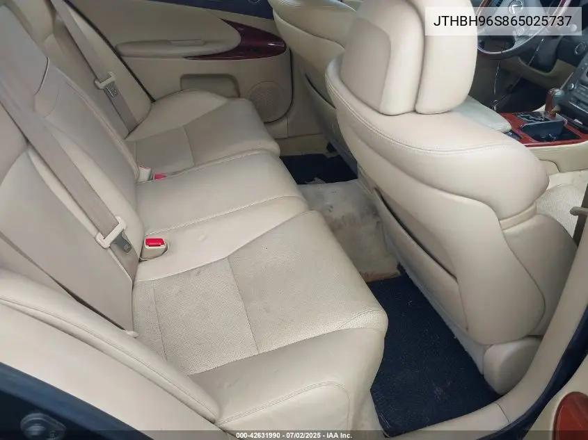 2006 Lexus Gs 300 VIN: JTHBH96S865025737 Lot: 42631990