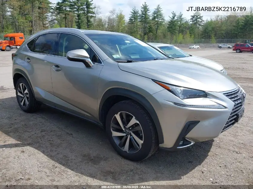 2019 Lexus Nx 300 VIN: JTJBARBZ5K2216789 Lot: 42187899