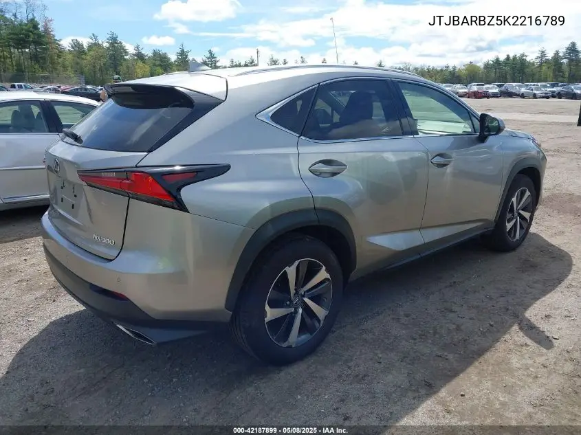 2019 Lexus Nx 300 VIN: JTJBARBZ5K2216789 Lot: 42187899