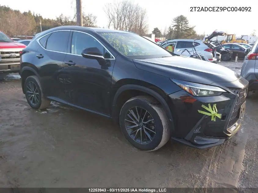 2023 Lexus Nx 250 VIN: 2T2ADCEZ9PC004092 Lot: 12253943
