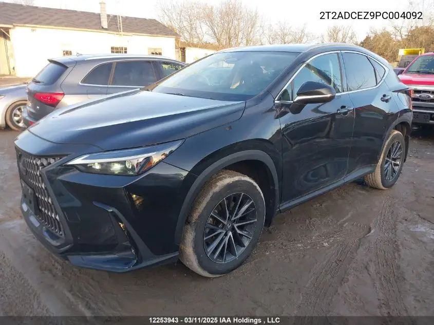 2023 Lexus Nx 250 VIN: 2T2ADCEZ9PC004092 Lot: 12253943