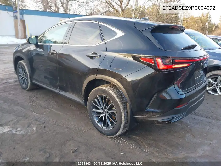 2023 Lexus Nx 250 VIN: 2T2ADCEZ9PC004092 Lot: 12253943