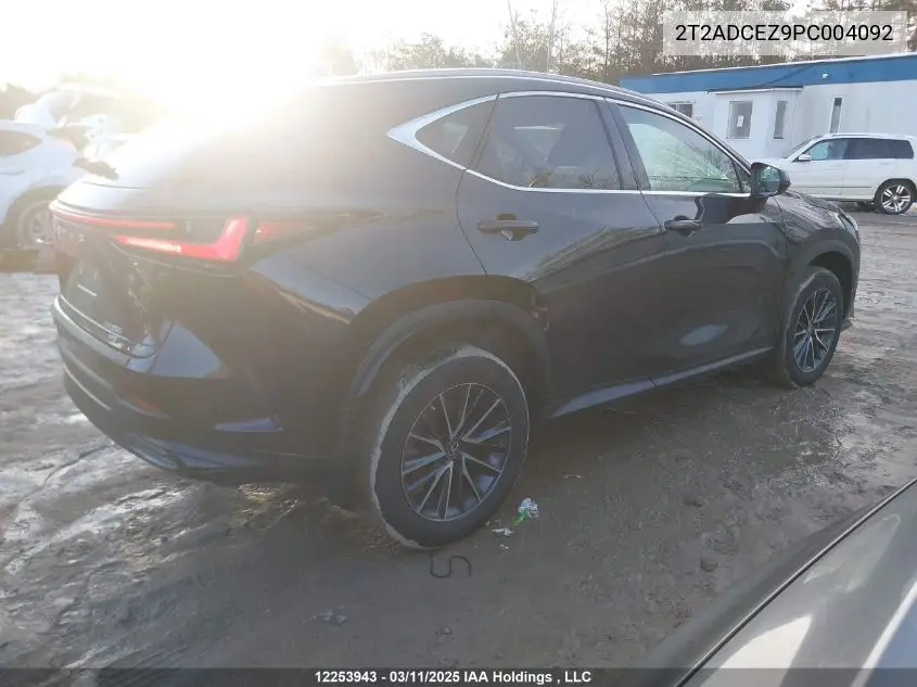 2023 Lexus Nx 250 VIN: 2T2ADCEZ9PC004092 Lot: 12253943