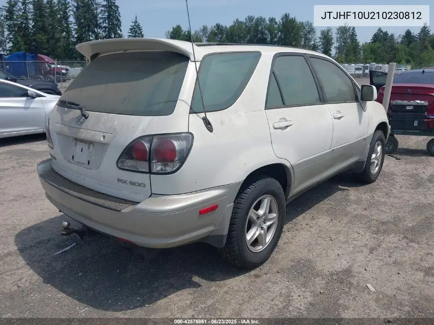 2001 Lexus Rx 300 300 VIN: JTJHF10U210230812 Lot: 42576861