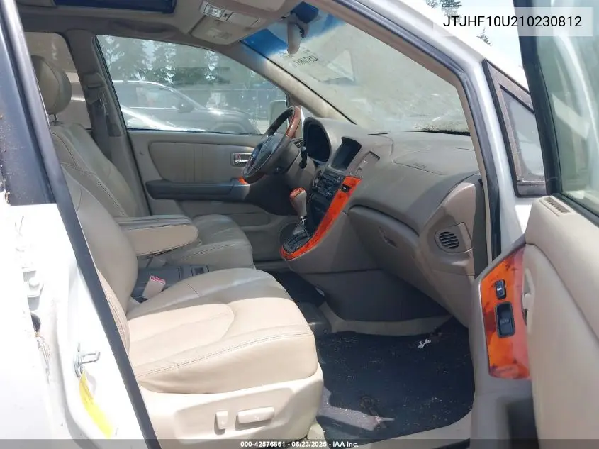2001 Lexus Rx 300 300 VIN: JTJHF10U210230812 Lot: 42576861