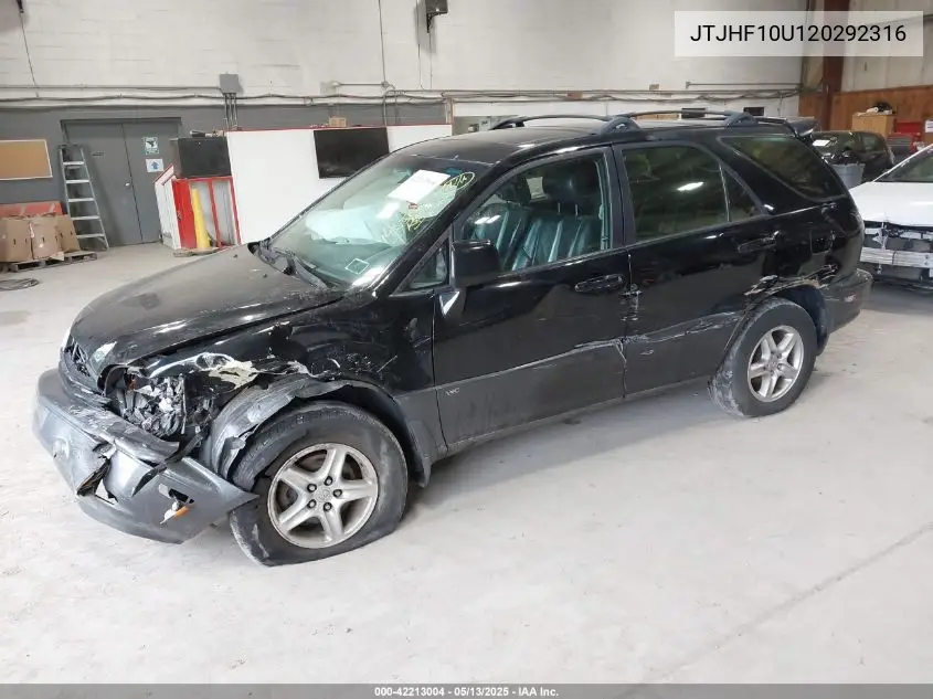 2002 Lexus Rx 300 VIN: JTJHF10U120292316 Lot: 42213004