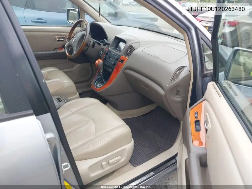 2002 Lexus Rx 300 VIN: JTJHF10U120263480 Lot: 42598611