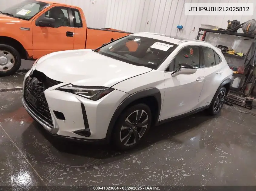 2020 Lexus Ux 250H VIN: JTHP9JBH2L2025812 Lot: 41823664