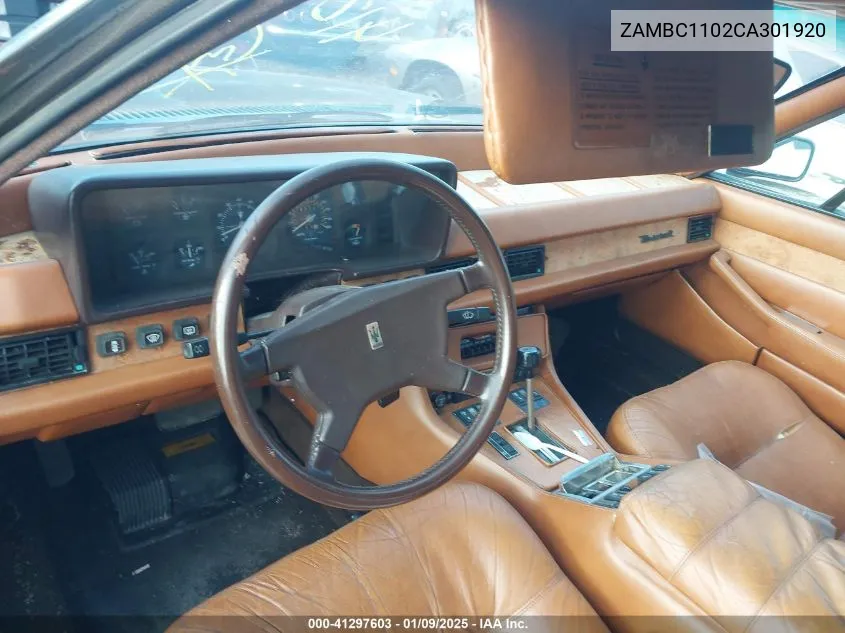 1982 Maserati Quattroporte VIN: ZAMBC1102CA301920 Lot: 41297603