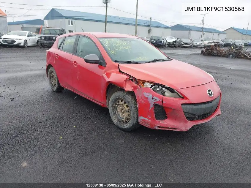 2012 Mazda Mazda3 Gx VIN: JM1BL1KF9C1530568 Lot: 12309138X