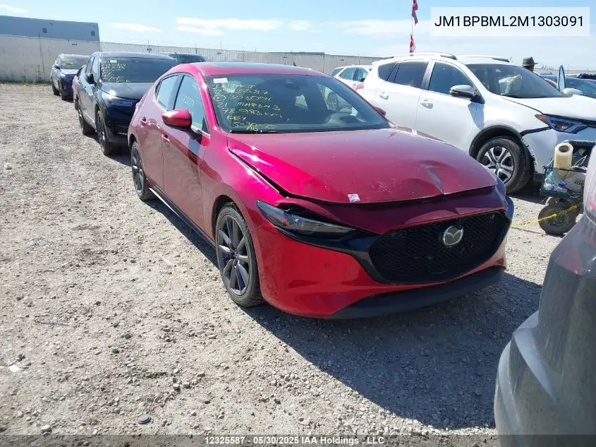2021 Mazda Mazda3 Sport VIN: JM1BPBML2M1303091 Lot: 12325587