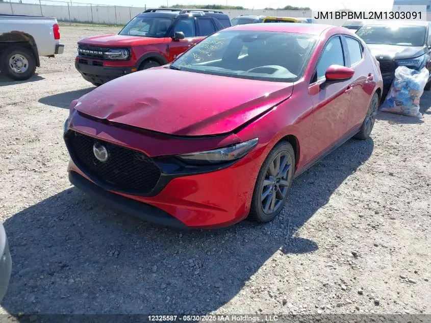 2021 Mazda Mazda3 Sport VIN: JM1BPBML2M1303091 Lot: 12325587