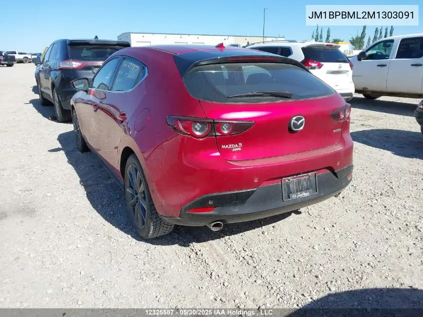 2021 Mazda Mazda3 Sport VIN: JM1BPBML2M1303091 Lot: 12325587