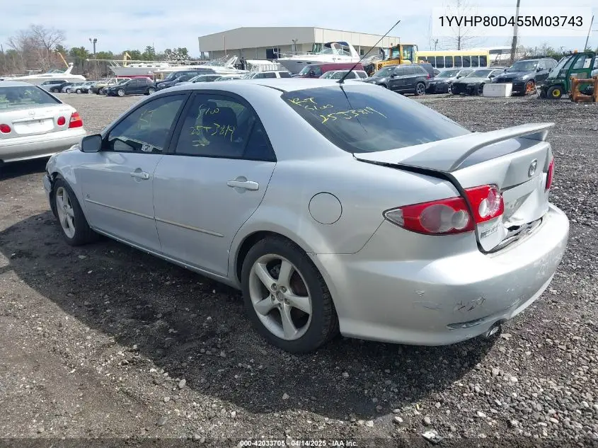 2005 Mazda Mazda6 S Sport VIN: 1YVHP80D455M03743 Lot: 42033705