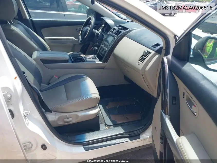 2010 Mazda Cx-9 Grand Touring VIN: JM3TB2MA2A0206516 Lot: 42599987