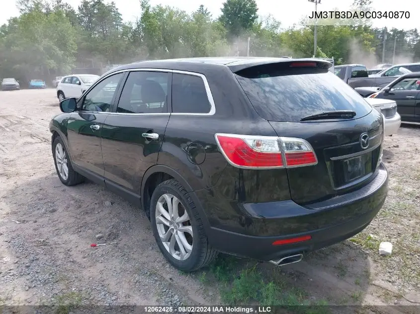 2012 Mazda Cx-9 VIN: JM3TB3DA9C0340870 Lot: 12062425