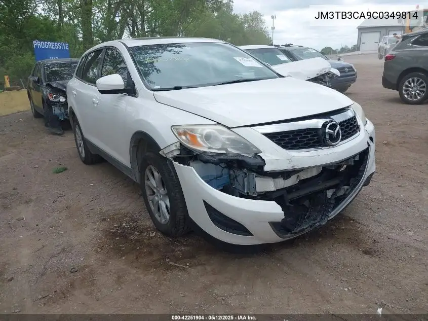 2012 Mazda Cx-9 Touring VIN: JM3TB3CA9C0349814 Lot: 42251904