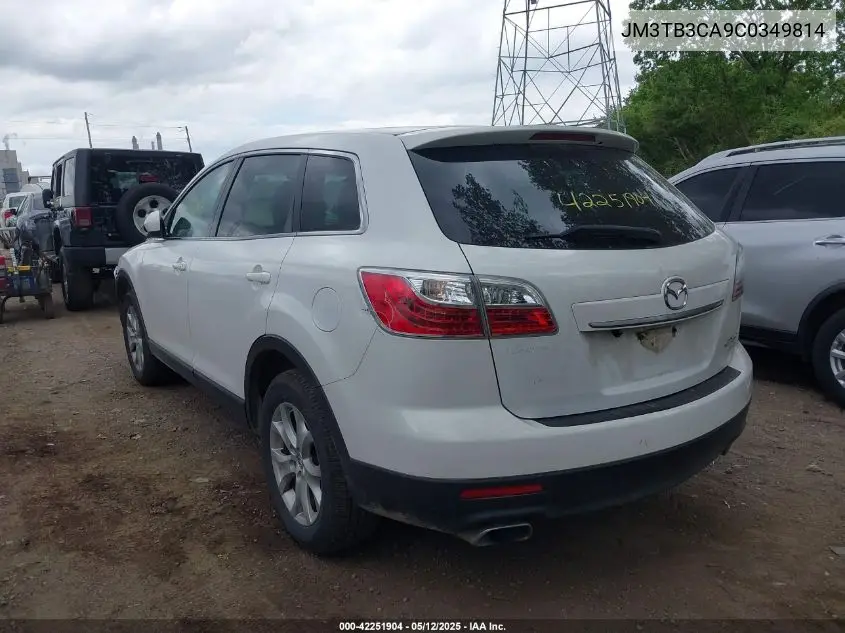 2012 Mazda Cx-9 Touring VIN: JM3TB3CA9C0349814 Lot: 42251904