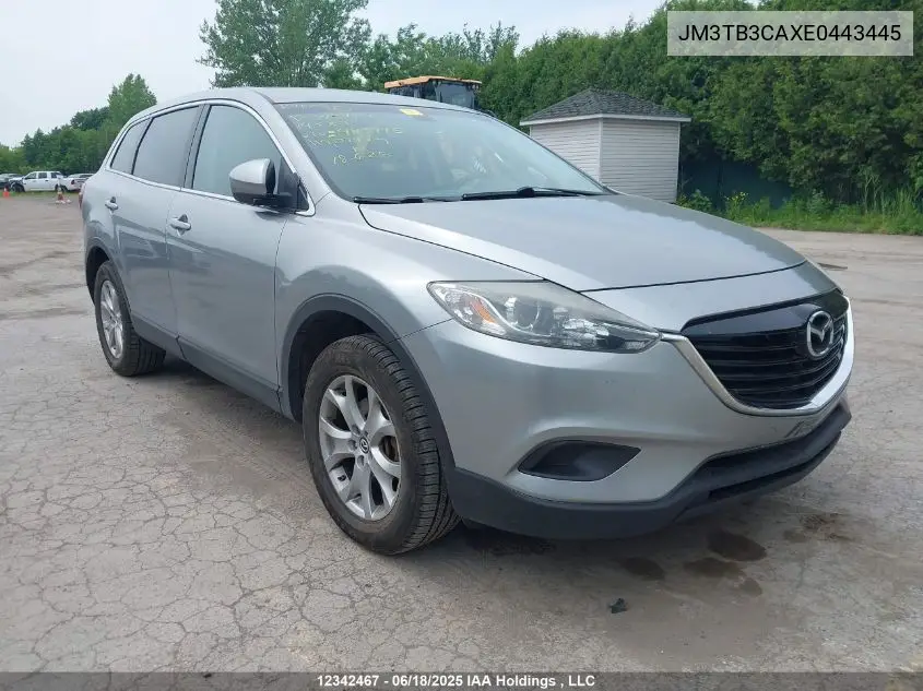 2014 Mazda Cx-9 Touring VIN: JM3TB3CAXE0443445 Lot: 12342467