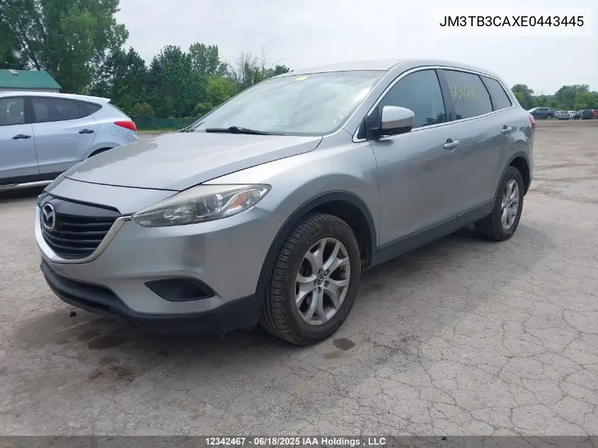 2014 Mazda Cx-9 Touring VIN: JM3TB3CAXE0443445 Lot: 12342467