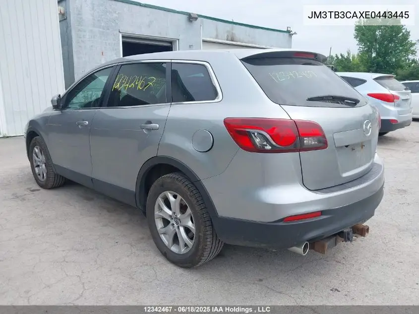 2014 Mazda Cx-9 Touring VIN: JM3TB3CAXE0443445 Lot: 12342467