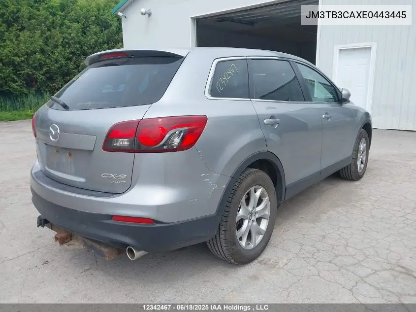 2014 Mazda Cx-9 Touring VIN: JM3TB3CAXE0443445 Lot: 12342467
