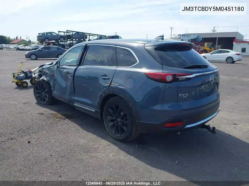 2021 Mazda Cx-9 Gt/Kuro Edition VIN: JM3TCBDY5M0451180 Lot: 12345843