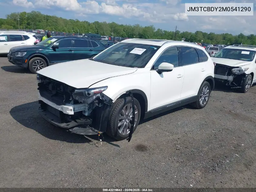 2021 Mazda Cx-9 Grand Touring VIN: JM3TCBDY2M0541290 Lot: 42216643