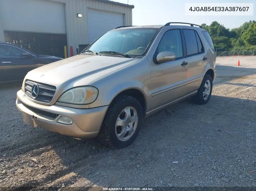 2003 Mercedes-Benz Ml 320 VIN: 4JGAB54E33A387607 Lot: 42655574