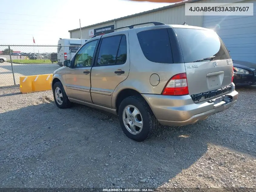 2003 Mercedes-Benz Ml 320 VIN: 4JGAB54E33A387607 Lot: 42655574