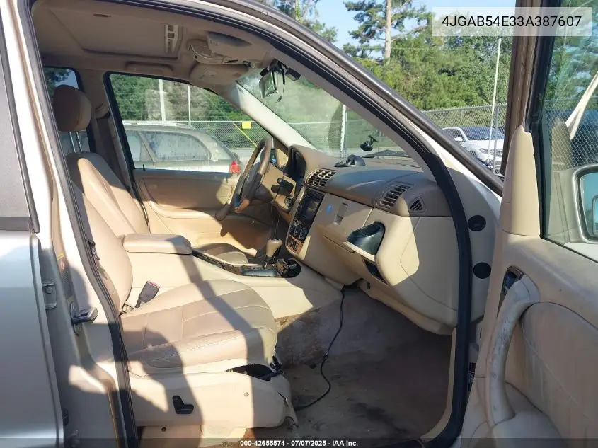 2003 Mercedes-Benz Ml 320 VIN: 4JGAB54E33A387607 Lot: 42655574