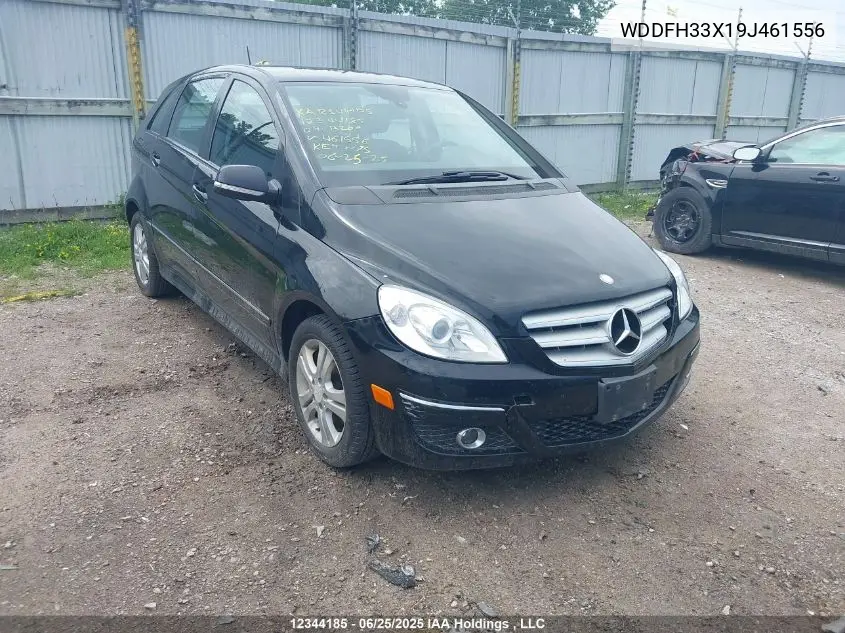 2009 Mercedes-Benz B200 VIN: WDDFH33X19J461556 Lot: 12344185