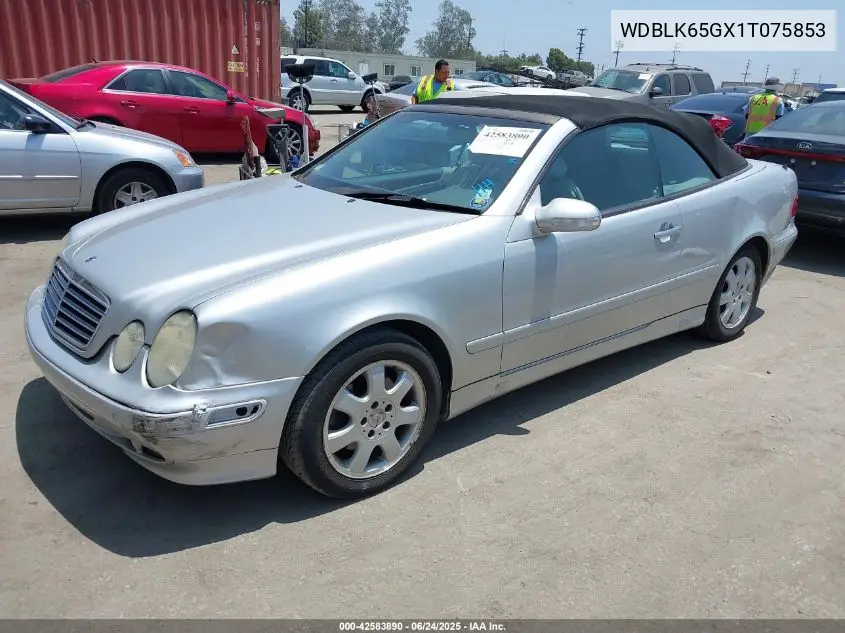 2001 Mercedes-Benz Clk 320 VIN: WDBLK65GX1T075853 Lot: 42583890