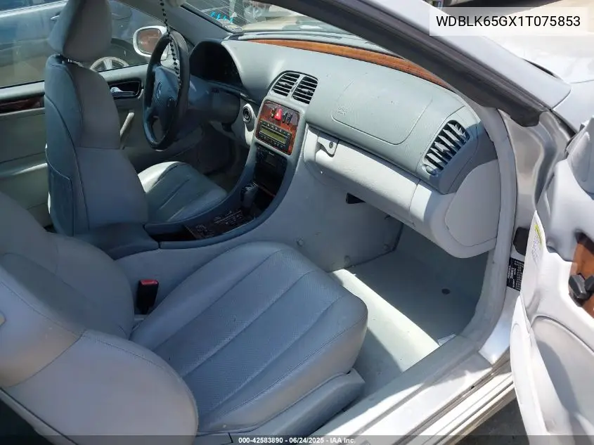 2001 Mercedes-Benz Clk 320 VIN: WDBLK65GX1T075853 Lot: 42583890