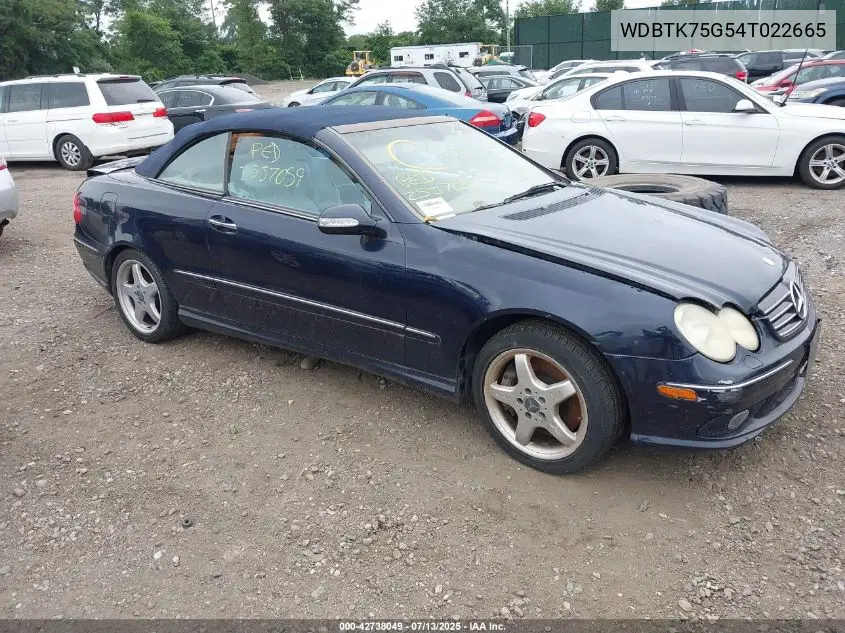 2004 Mercedes-Benz Clk 500 VIN: WDBTK75G54T022665 Lot: 42738049